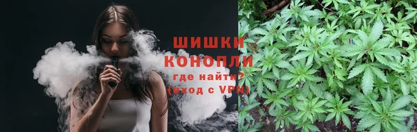 прущие грибы Алзамай