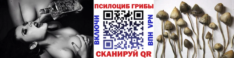 Псилоцибиновые грибы Psilocybe  кракен зеркало  Арамиль 